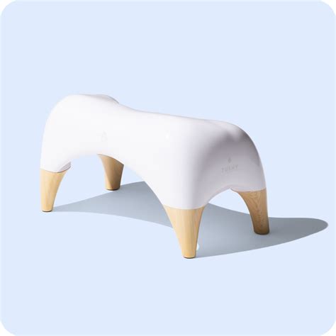 tushy stool|TUSHY Ottoman .